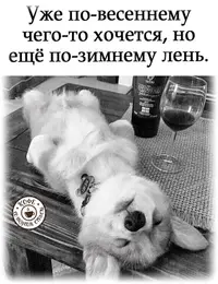 i.jpeg-1.webp