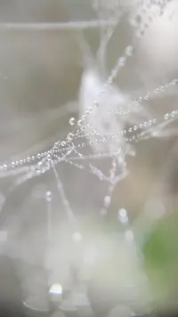 1664821222452.webp