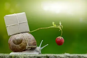 istockphoto-610224946-612x612.webp