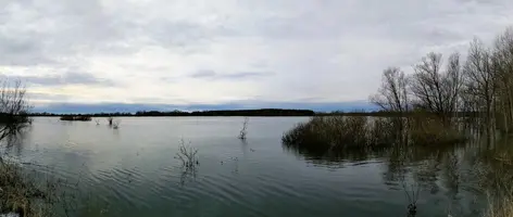 PXL_20230315_100748343.PANO~2.webp
