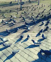9991246_Gallery.webp
