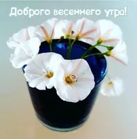 05CE896B-60C4-4528-B6F4-B749AF573705.webp