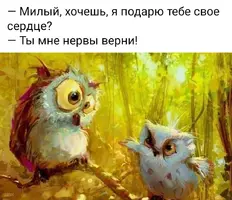 wiI0WH2IRwE.webp