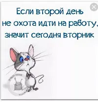 Screenshot_20230321-190737_Chrome.webp