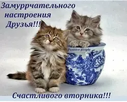 Screenshot_20230321-192838_Chrome.webp