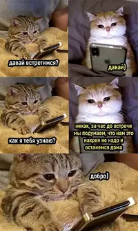 DE25E380-B96B-4DF9-A775-D0F7B487E3B3.webp