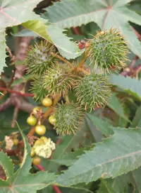 Screenshot_20230325-180435_Gallery.webp