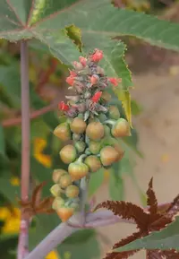 Screenshot_20230325-180458_Gallery.webp