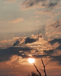 92710_Gallery.webp