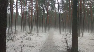 IMG-20230325-WA0006.webp