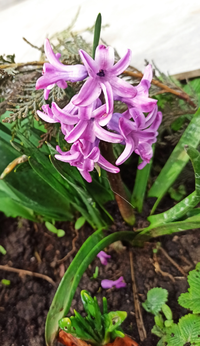 IMG_20230326_152028.webp