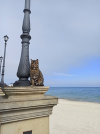 IMG_20230328_002002.webp