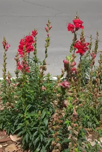 Screenshot_20230329-132444_Gallery.webp