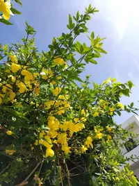 IMG-02fe57147d3648fe7c56642165f03be2-V.webp