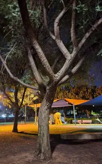 Screenshot_20230403-022136_Gallery.webp