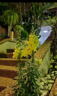 Screenshot_20230403-021819_Gallery.webp