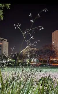 Screenshot_20230403-021438_Gallery.webp