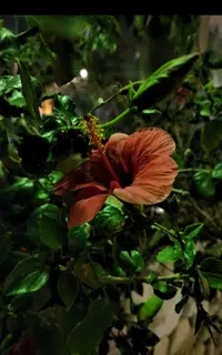 Screenshot_20230403-021623_Gallery.webp
