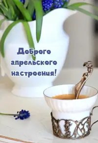 AD0EE974-675E-4004-9DB0-1D6473B320A7.webp