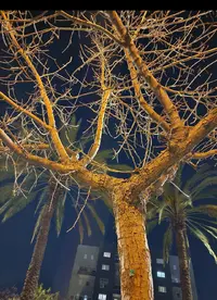 Screenshot_20230404-013546_Gallery.webp
