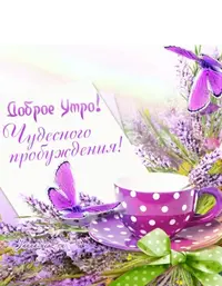 0AA87D1A-B6FE-44AA-9E88-335DC25F6752.webp