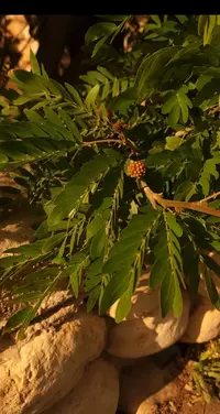 Screenshot_20230405-182238_Gallery.webp