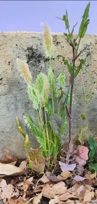 Screenshot_20230405-171124_Gallery.webp