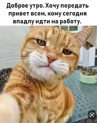 Screenshot_20230406-010848_Google.webp
