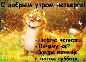 Screenshot_20230406-013004_Chrome.webp