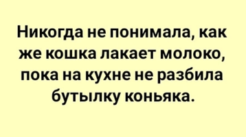 Screenshot_2023-04-07-16-51-11-84_68e74cc0265513bba3f4cf8e2c9891fe.webp