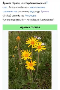 Screenshot_20230407-155650_Chrome.webp