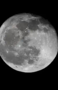 Screenshot_20230407-231614_Gallery.webp