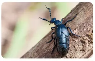 Screenshot_20230408-010029_Chrome.webp