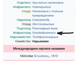 Screenshot_20230408-010306_Chrome.webp Screenshot_20230408-010306_Chrome.webp
