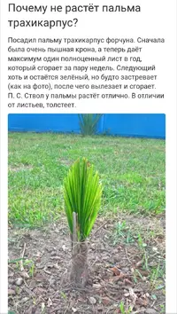 Screenshot_20230408-011853_Chrome.webp Screenshot_20230408-011853_Chrome.webp