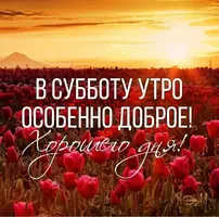 99DD7719-C468-4585-A177-C045BB2480D4.webp