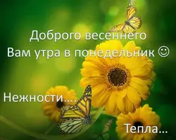 7B3237D1-1E5C-4197-8567-6819099B31CD.webp