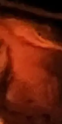 Screenshot_20230411-091027_Gallery~2.webp