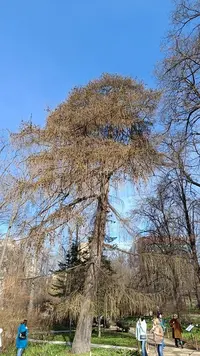 IMG20230408130339.webp