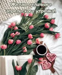 C9ABB46A-4A9C-4729-947D-A37C4CCB9698.webp