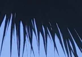 Screenshot_20230414-222135_Gallery.webp Screenshot_20230414-222135_Gallery.webp