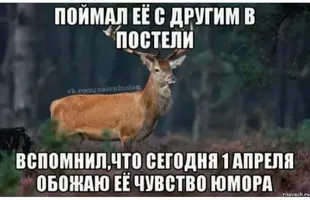 Screenshot_20230414-212651_Chrome.webp