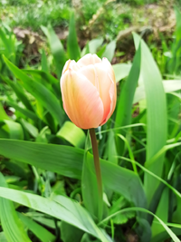 IMG_20230415_141250.webp