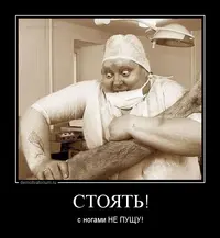 5413529.webp