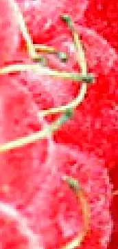 малина1.webp