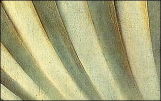 rozhdenie-venery-botticcelli-simonetta-vespucci-konobella-allitaliano1-14 — копия.webp
