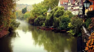 fonstola.ru-144292.webp