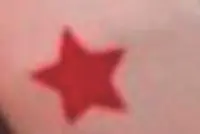 звезда.webp
