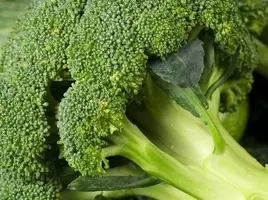 IMG_5227.webp