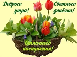 47F009D5-A072-462A-9166-D0EF9CE7EC7C.webp